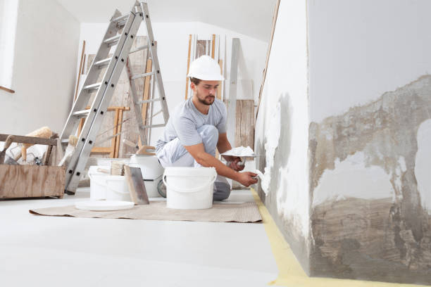 Trusted Fruitland, NC Mold Removal Experts