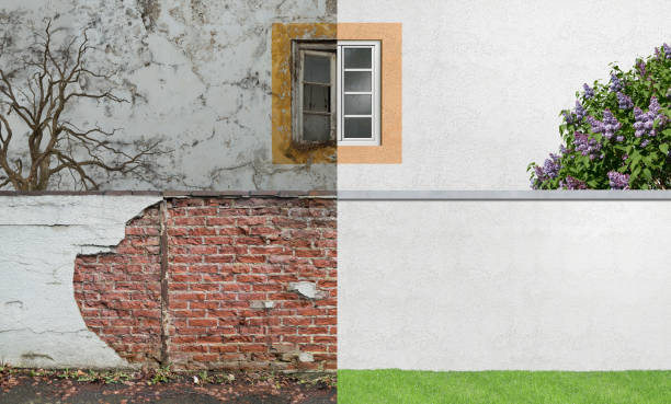 Best Residential Mold Inspection & Testing  in Fruitland, NC