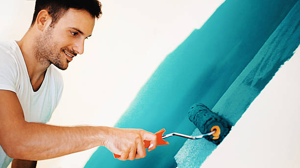 Environmental Consulting for Mold Prevention in Fruitland, NC